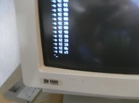 RIMG0165.jpg