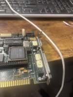 IMG_7926.jpeg