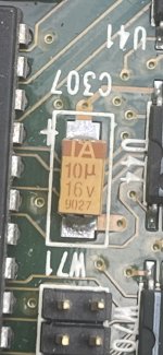IMG_8202.jpeg