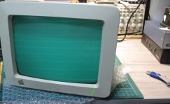 Apple IIc Monitor (Model G090S) Horizontal Lines Galore | Vintage