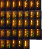 JMtest1 pics.png