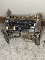 IMG_3647.jpeg