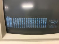 IMG_3958.jpeg