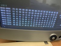 IMG_1084.jpeg