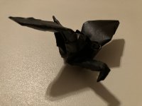 IMG_0017.jpeg