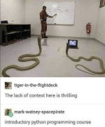 P1.png