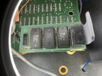 IMG_0135.jpeg