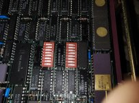 IMG_20240819_155846354.jpg