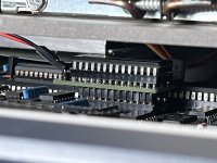 IMG_7655.jpg
