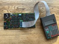 IMG_3935.jpeg