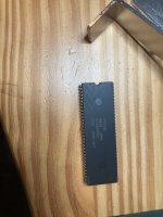 IMG_4571.jpeg