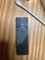 IMG_4573.jpeg