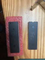 IMG_4572.jpeg