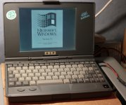 SN8660-greyscale-lcd (Custom).JPG
