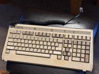 IMG_7612.jpeg