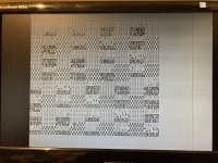 IMG_7386.jpeg