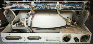 IMG_20250119_131704.png IMG_20250119_131704.png