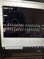 IMG_4928.jpeg