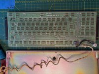 IMG_0206.jpeg