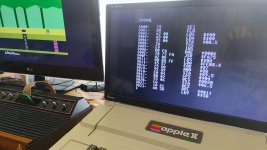frob_loaded_pitfall.jpg