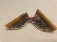 IMG_4931.jpeg IMG_4931.jpeg