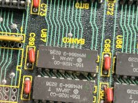 IMG_4279.jpeg