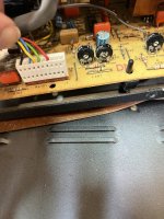 IMG_0462.jpeg