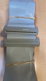 IMG_6133.jpeg