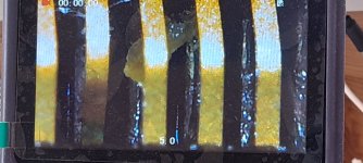 20250806_152113.jpg