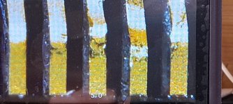 20250806_152155.jpg