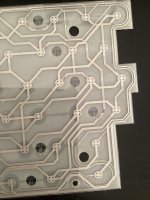 IMG_2319.jpeg
