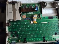 IMG_20251020_084343843.jpg IMG_20251020_084343843.jpg