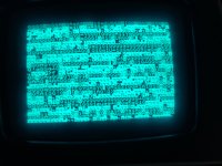 IMG_6989.jpeg