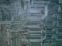 IMG_6940.jpeg