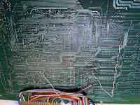 IMG_6939.jpeg