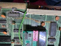 IMG_6937.jpeg