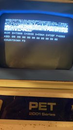 IMG_3281.jpeg