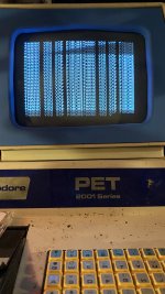 IMG_3295.jpeg