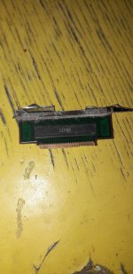 IMG_3659.jpeg