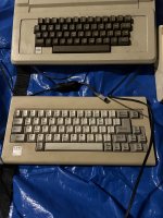 IMG_2215.jpeg