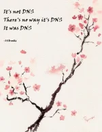 dns.webp