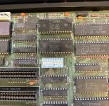 IMG_1376.jpeg