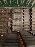 IMG_0912.jpeg