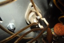 4 Wires On Component.jpg
