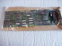 DSC00063.jpg