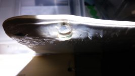20150813_150534.jpg