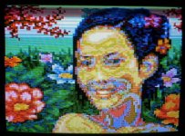 8088 Colors.jpg
