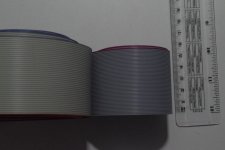 IMGP1236.jpg
