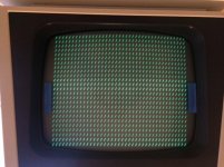 IMG_2995.jpg