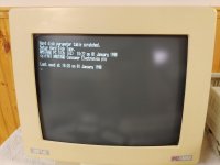 nel bios.jpg